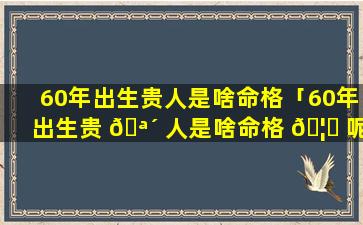 60年出生贵人是啥命格「60年出生贵 🪴 人是啥命格 🦊 呢」